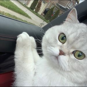 Meet your Posher, Amy